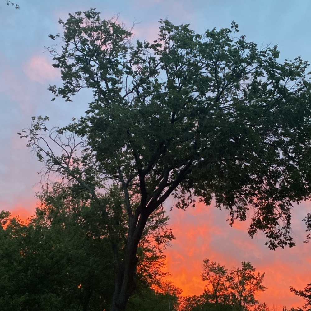 Accepting all Offers!